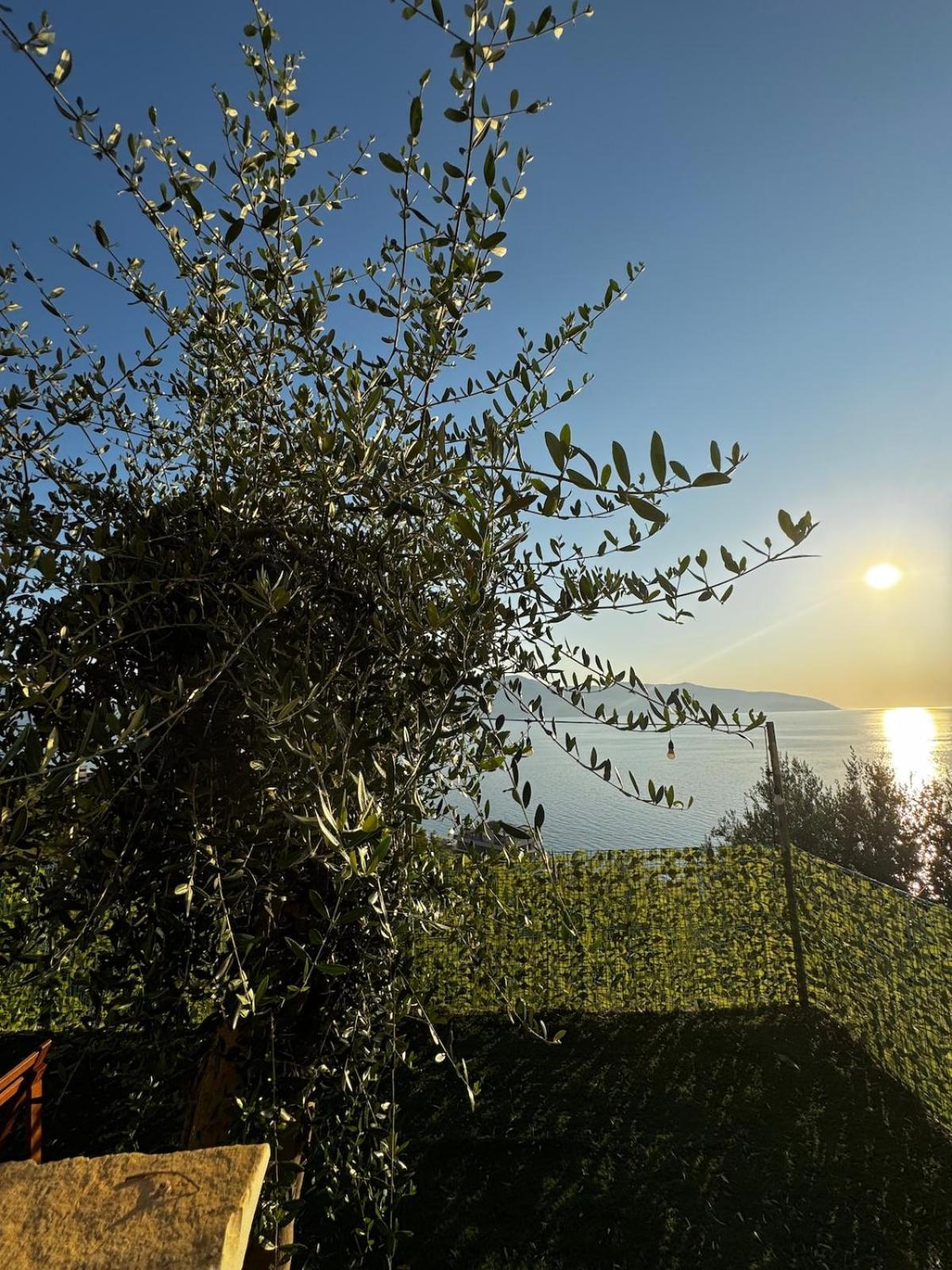 Premium Jonufer Wlora
